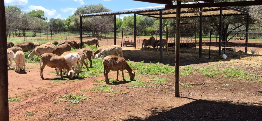 5 Bedroom Property for Sale in Rustenburg Rural North West